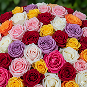 Роза и букеты из роз